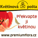 Květinová pošta