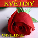 Logo Květiny Online